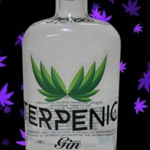 Gin Critical Jack x 48